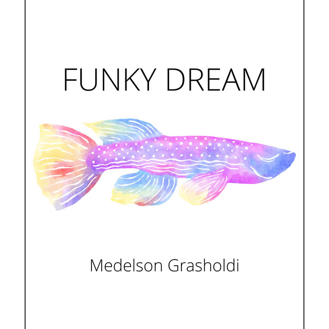Funky Dream cover art