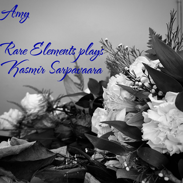 Amy cover art