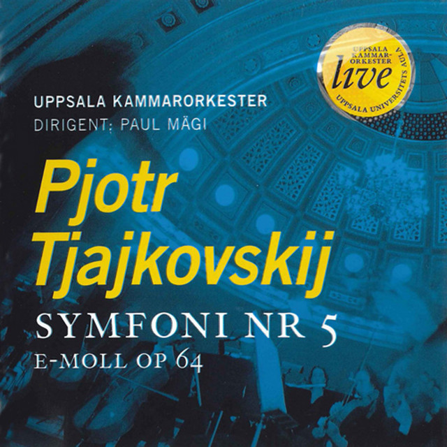 P. TCHAIKOVSKY Symphony No. 5 - Uppsala Chamber Orchestra cover art