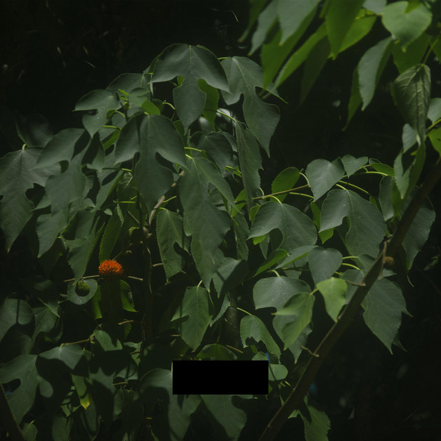 Songs_ cover art