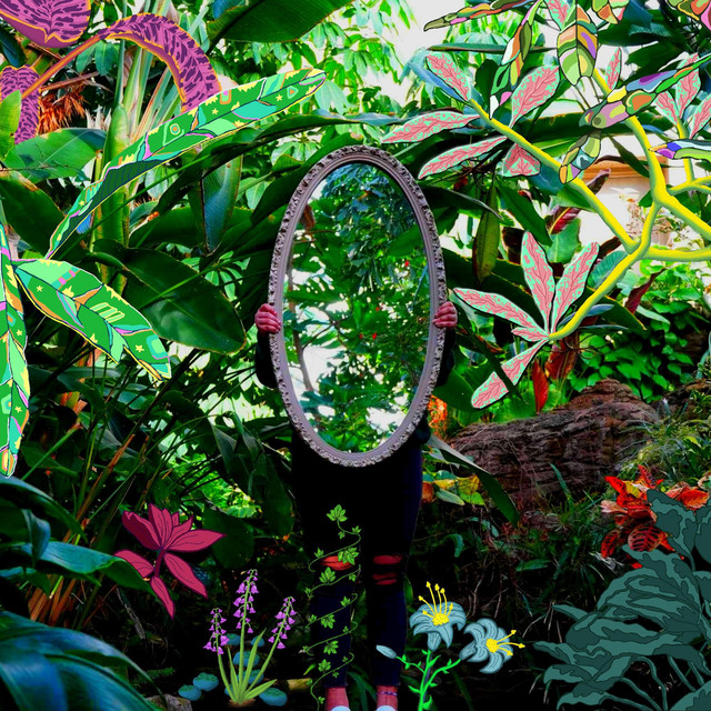 Mirror cover art