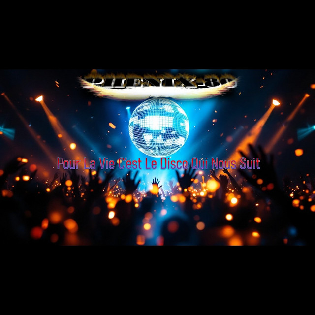 Pour La Vie C'Est Le DISCO Qui Nous Suit cover