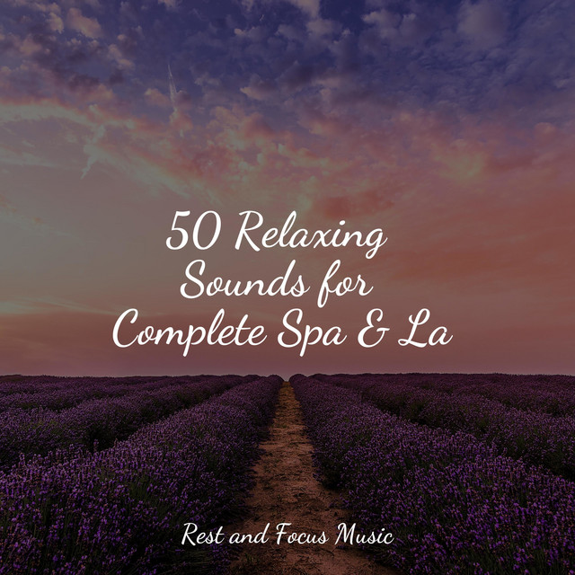 50 Relaxing Sounds for Complete Spa & La - Album by White Noise for ...