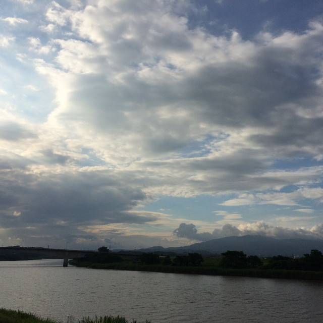 Frogs Songs Song By 渡辺 大祐 Spotify