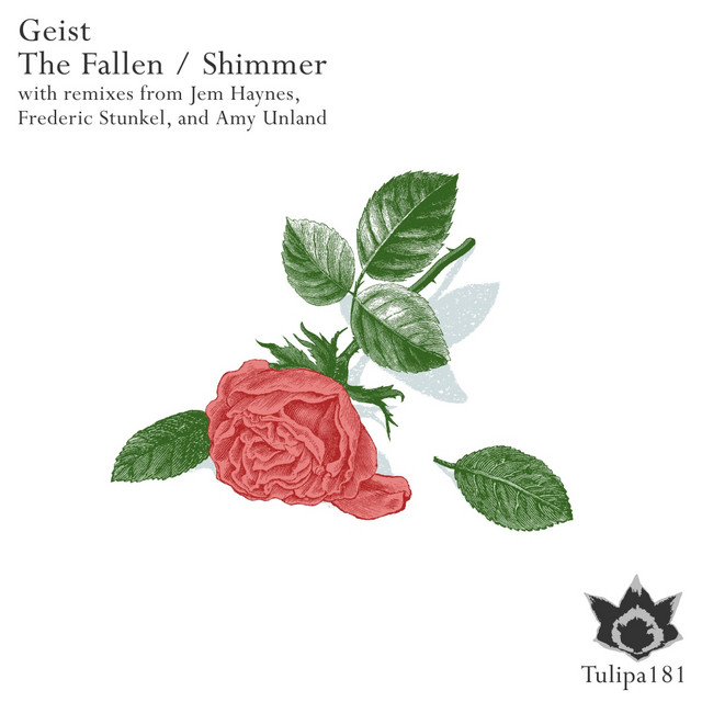 Shimmer album art