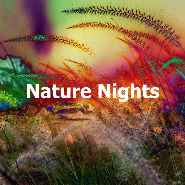 Nature Nights cover art