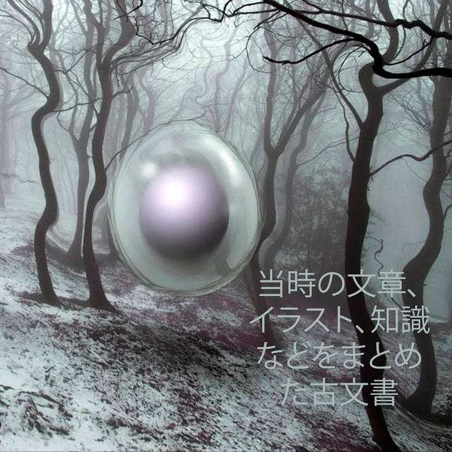 コーデックス cover art