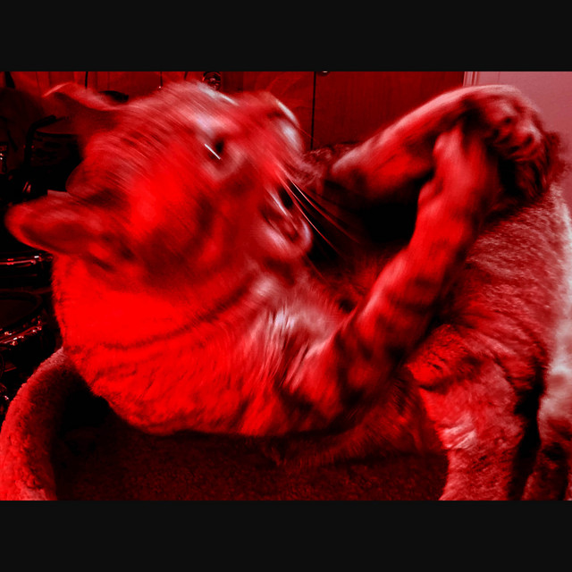 Red cover art