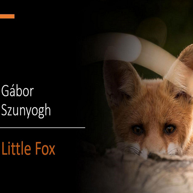 Little Fox cover art