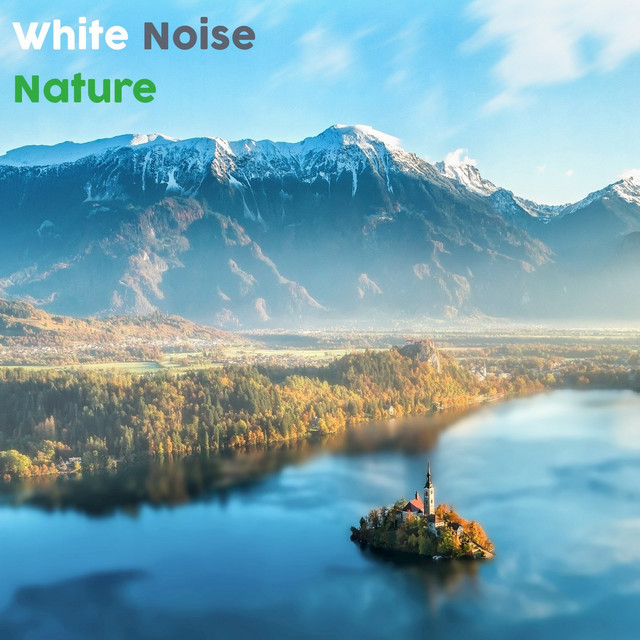 White Noise Nature 2018 cover art