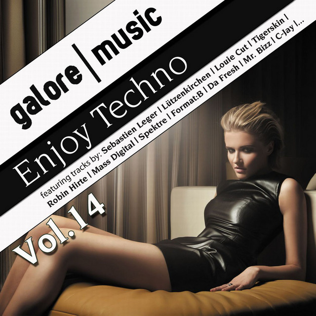 Fasten Your Seatbelts - Robin Hirte Remix