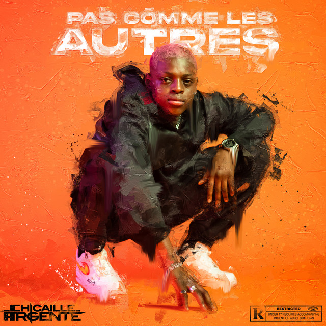 Pas comme les autres cover art