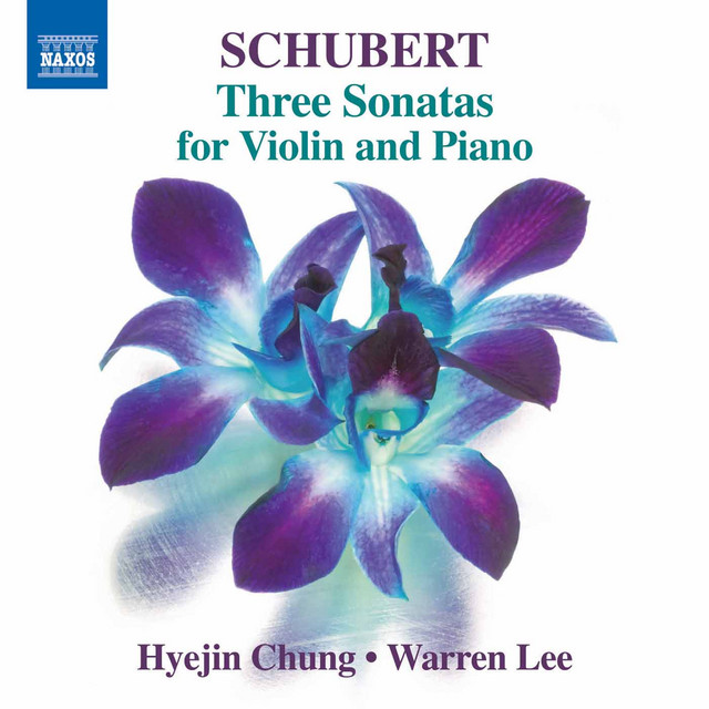 Violin Sonata in D Major, Op. 137 No. 1, D. 384: III. Allegro vivace