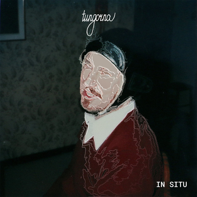 IN SITU cover