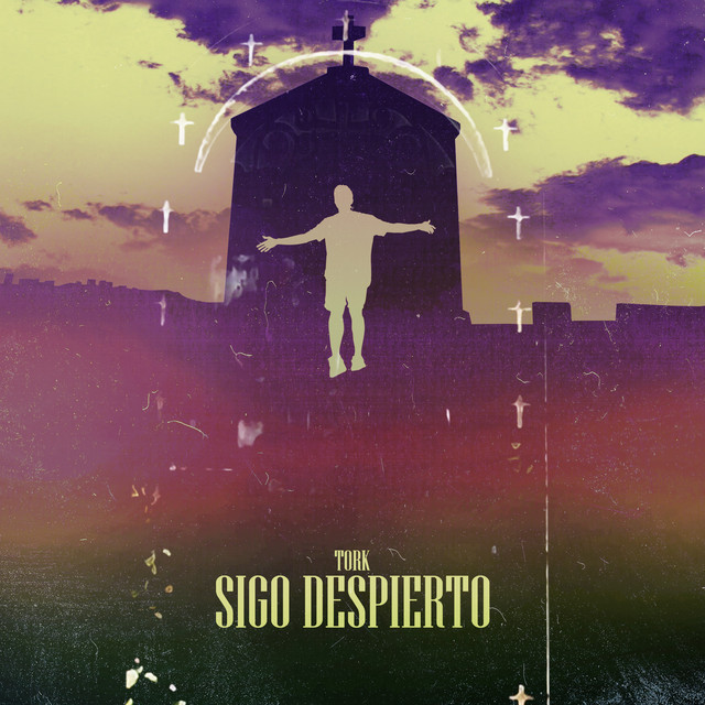 Sigo Despierto cover art