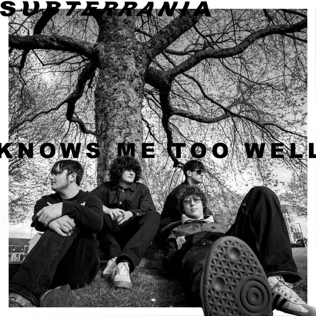 Knows Me Too Well cover art