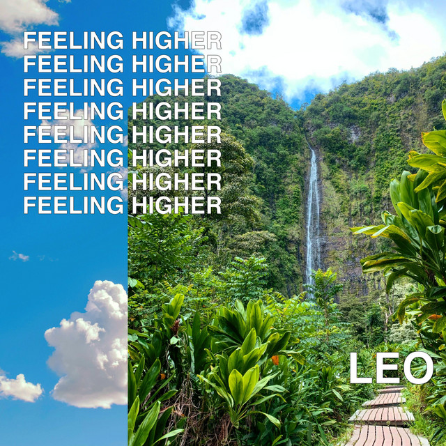 Feeling Higher cover art