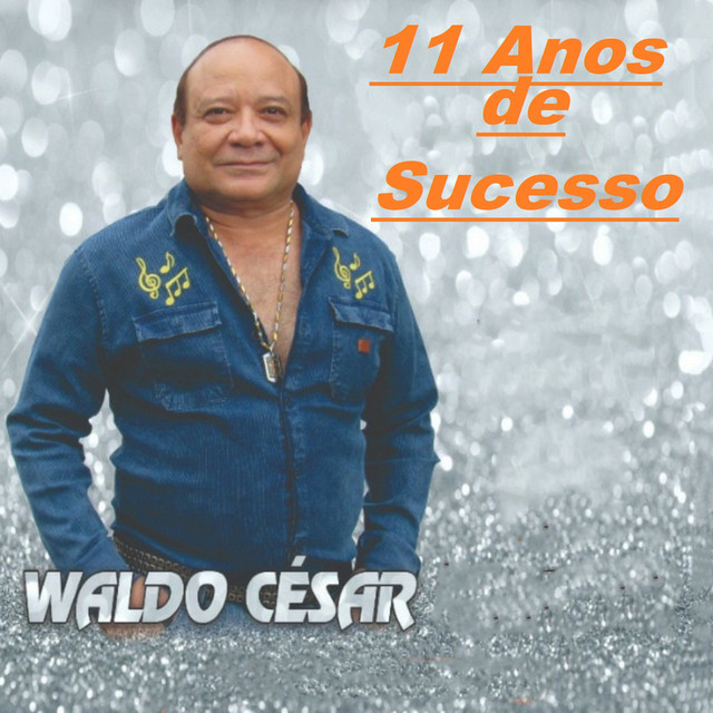 11 anos De Sucesso cover art