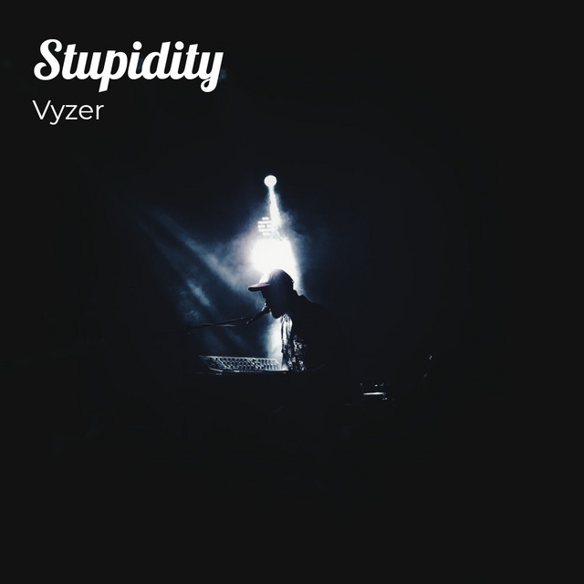 Vyzer