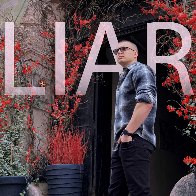 Cover art: Liar — Andrew Boom