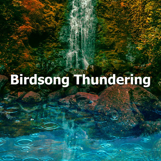 Birdsong Thundering - Album by Pro Sound Effects Library | Spotify