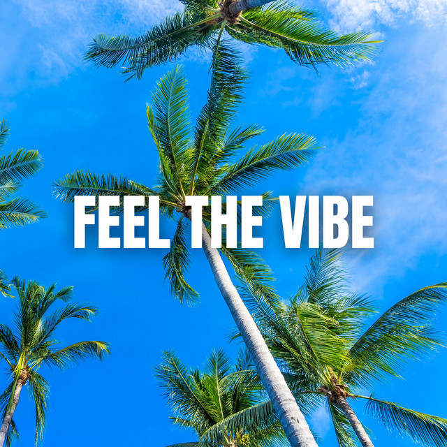Feel the Vibe: House Music Awakening