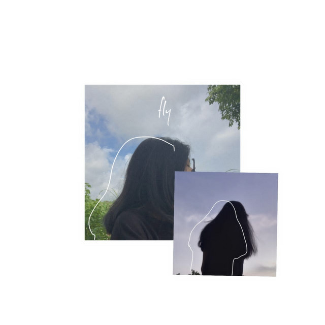 fly cover art