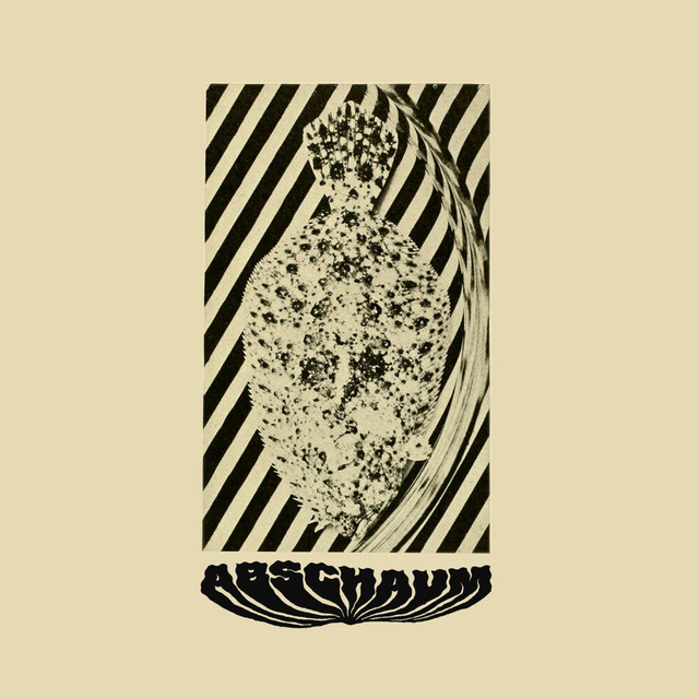 Moon Tango cover art
