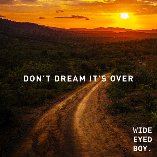 Don't Dream It's Over cover