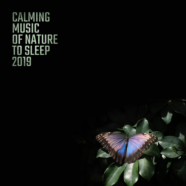 Calming Music of Nature to Sleep 2019 cover art