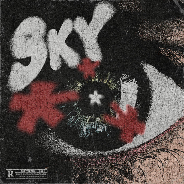 SKY cover art
