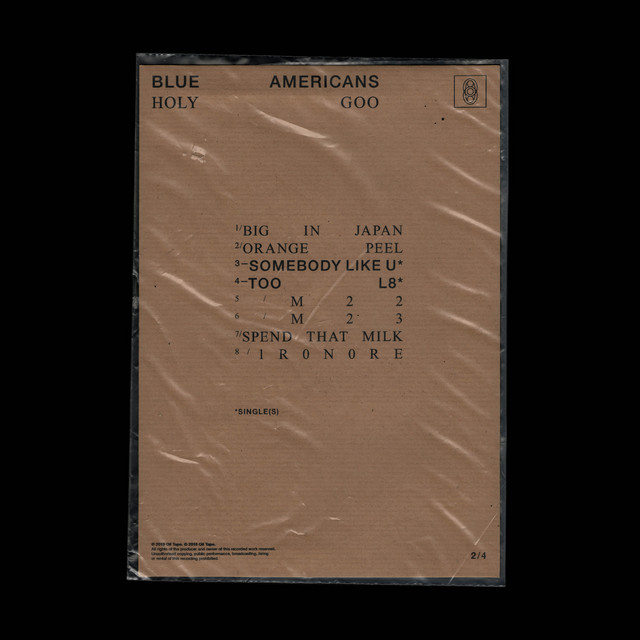 Holy Goo: II cover