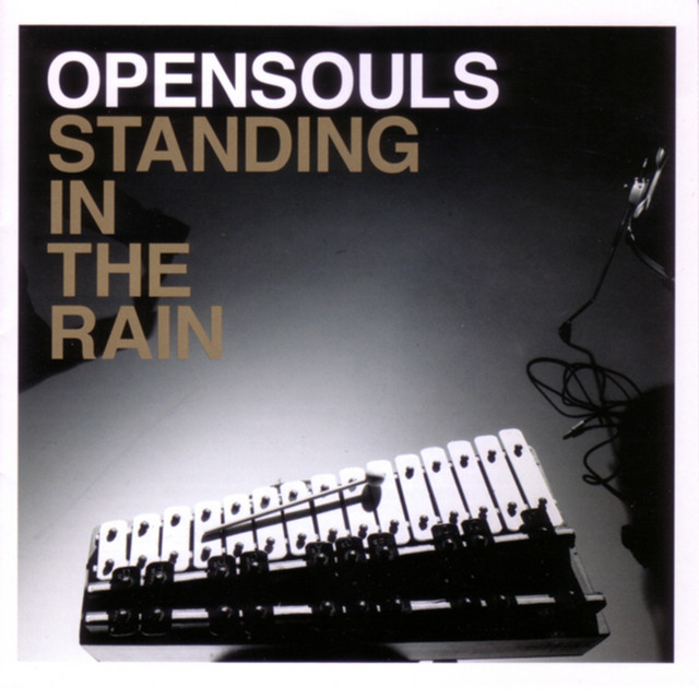Standing in the Rain cover art