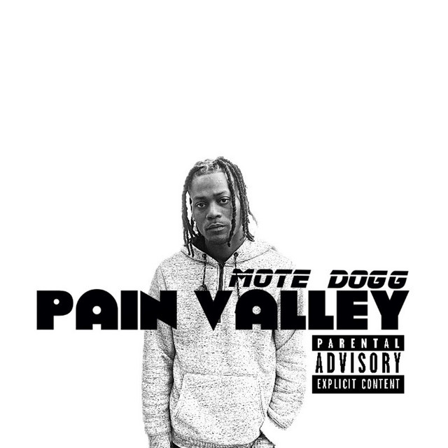 Pain Valley cover art