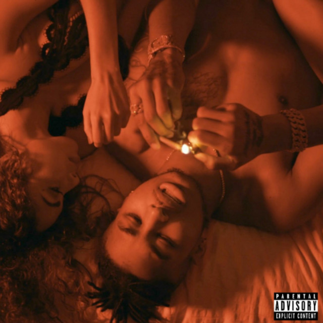 Case cover art