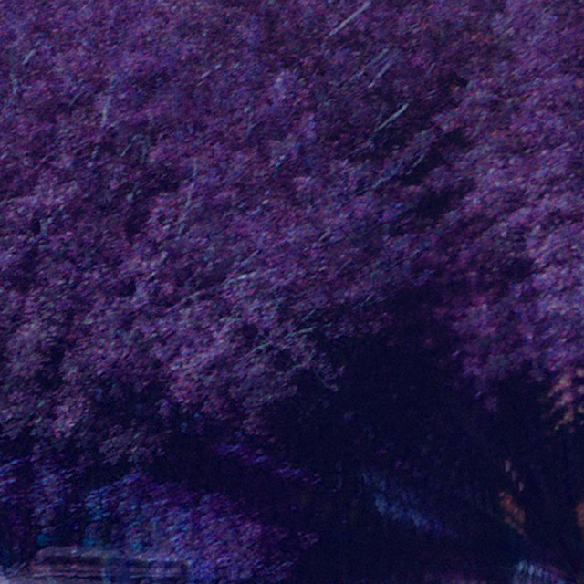 Disoriented cover art