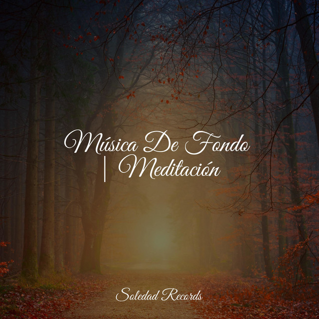 Música De Fondo | Meditación cover art