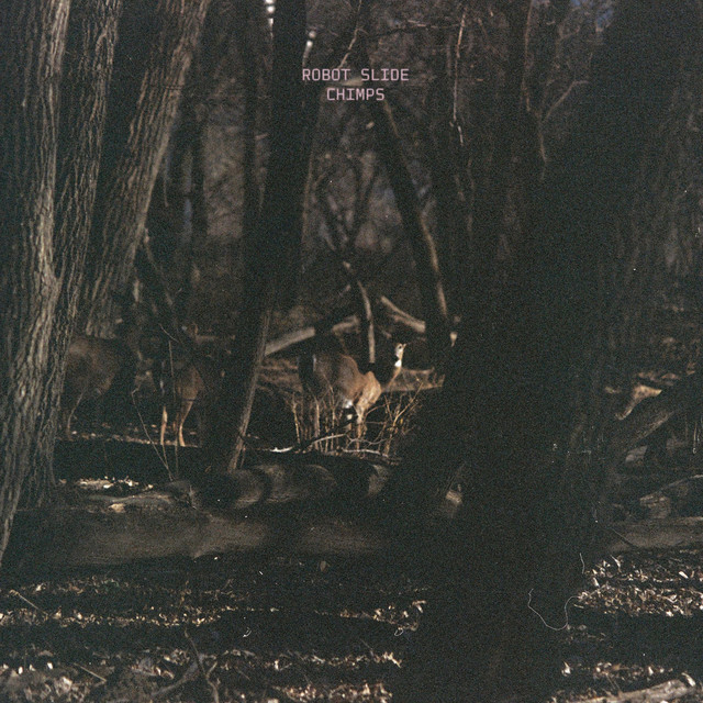 CHIMPS cover art