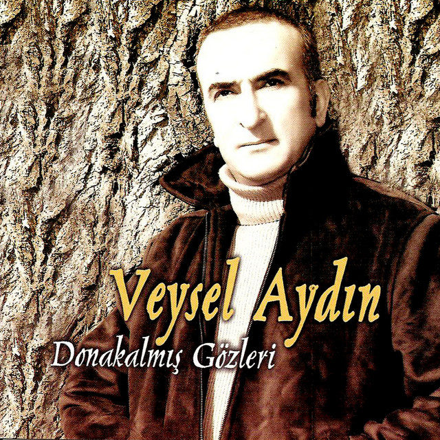 Donakalmış Gözleri cover