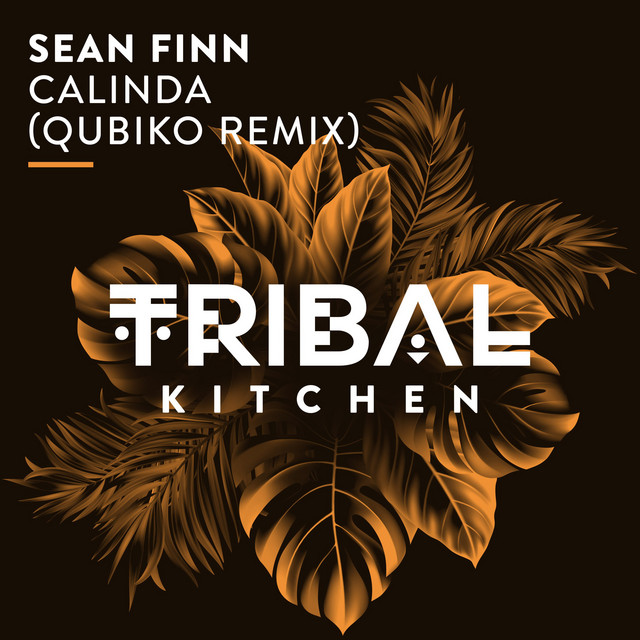 Calinda - Qubiko Extended Remix album art