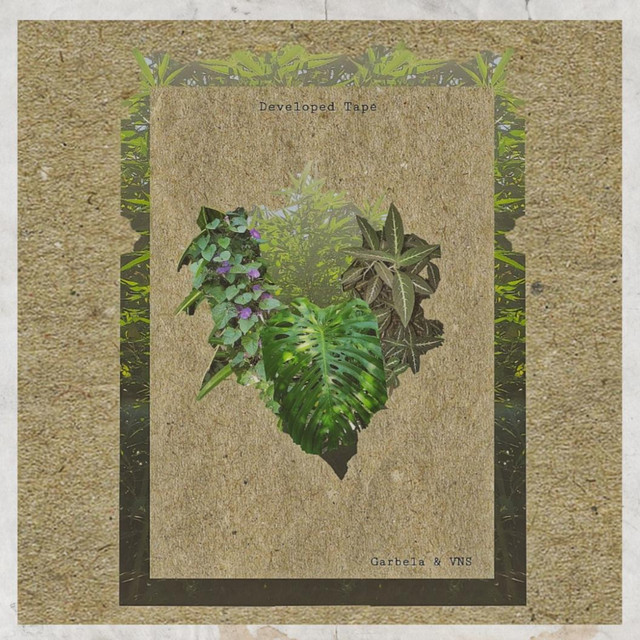 Developed Tape cover art