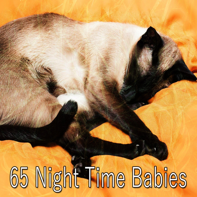 65 Night Time Babies cover art