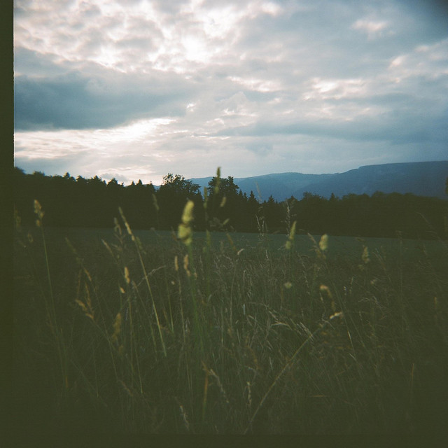 Bongo Icer cover art