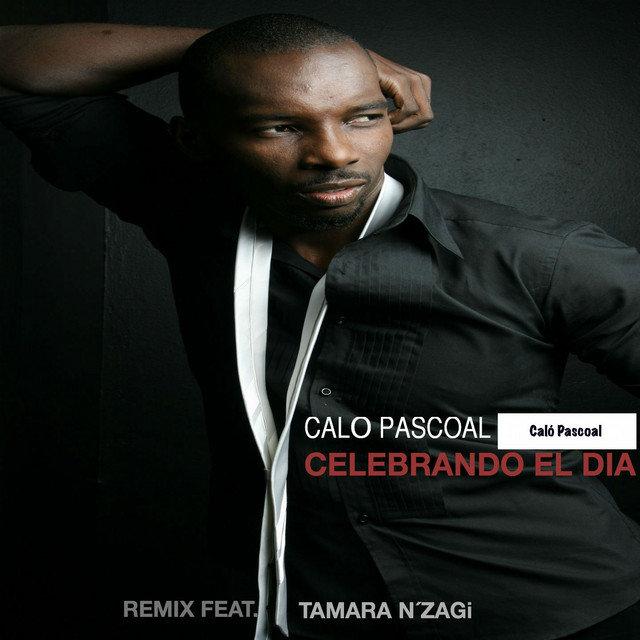 Celebrando el Dia - Remix