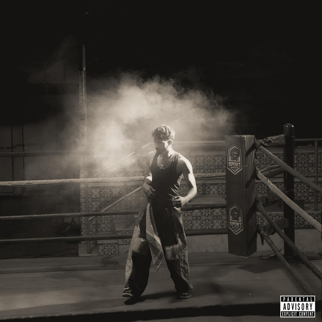 undefined album image