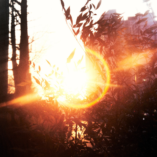 Dawndays cover art