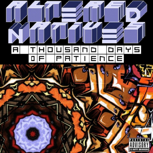 A Thousand Days of Patience cover art