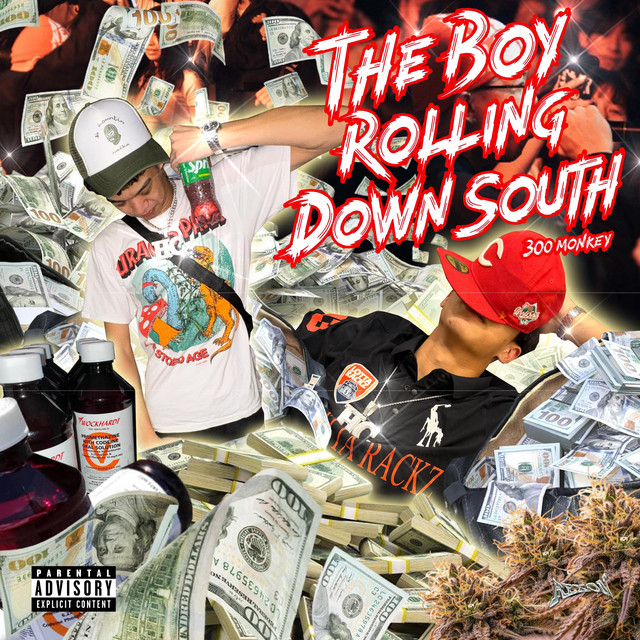 南飄少年 cover art