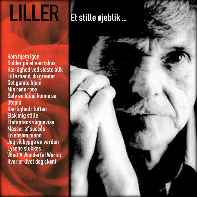 Et stille øjeblik cover art
