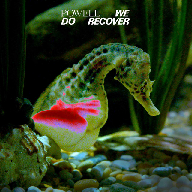 We Do Recover cover art